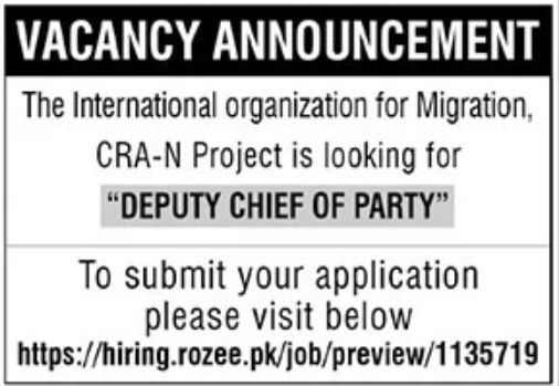 The International Organization Jobs July 2021