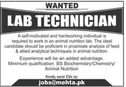 MEHTA Pvt Ltd Jobs February 2022