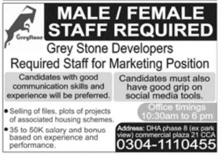 Grey Stone Developers Jobs March 2022