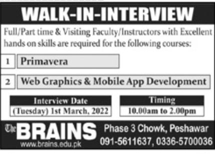 The Brains Institute Jobs February 2022