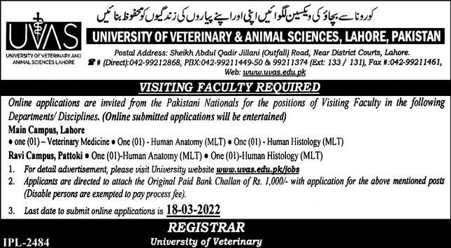 UVAS Jobs February 2022