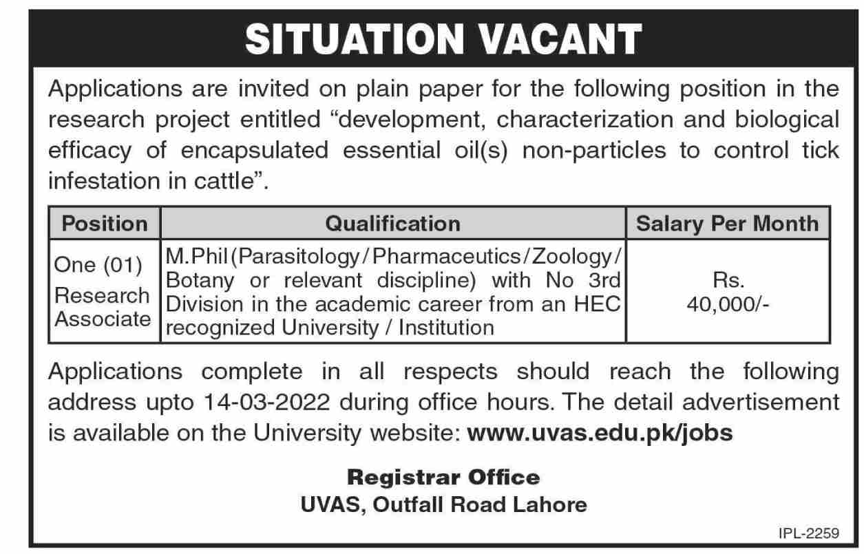 UVAS Lahore Jobs February 2022