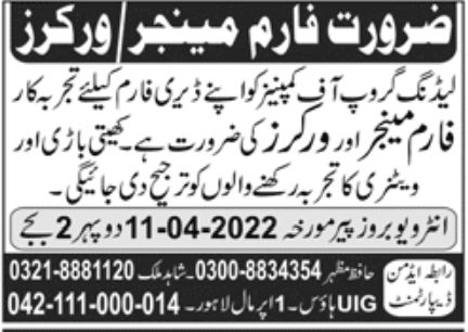 Leading Group of Companies Jobs April 2022