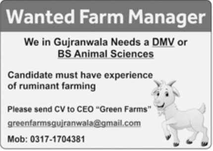 Green Farms Gujranwala Jobs May 2022