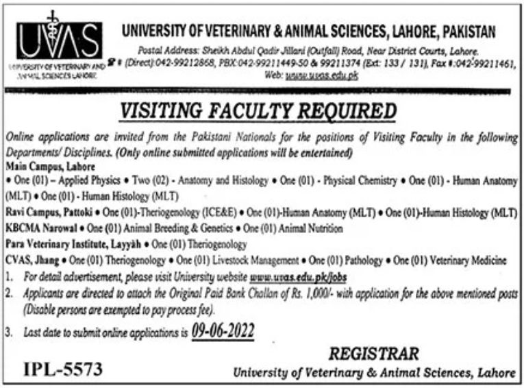 University of Veterinary & Animal Sciences Lahore UVAS Jobs May 2022