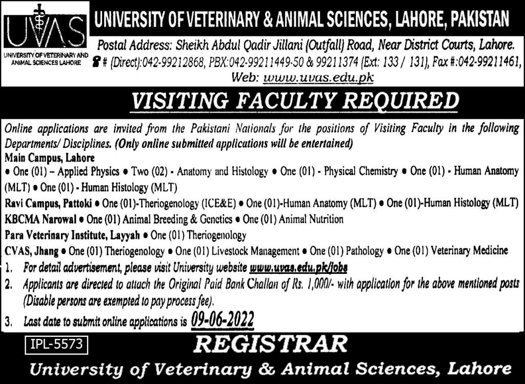 University of Veterinary & Animal Sciences UVAS Lahore Jobs May 2022