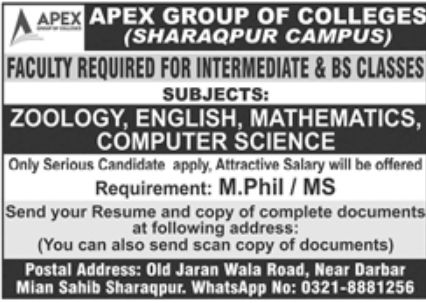 APEX Group of Colleges Jobs June 2022