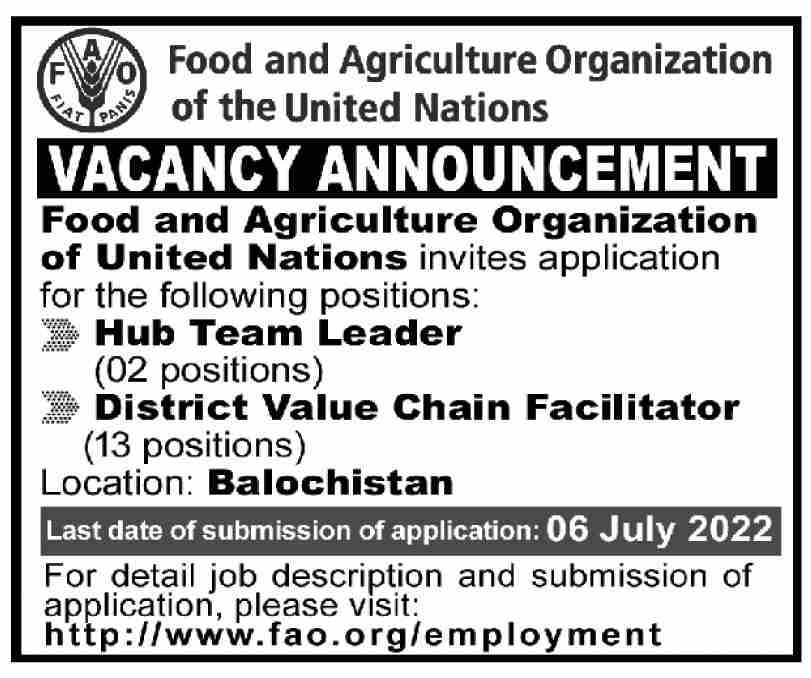 Food and Agriculture Organization of the United Nations FAO Jobs June 2022