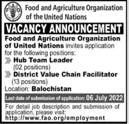 Food and Agriculture Organization of the United Nations Jobs June 2022