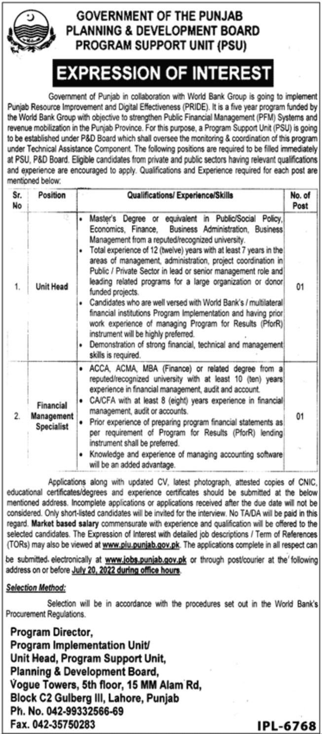 Government of the Punjab Planning & Development Board Jobs June 2022