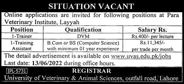 Para Veterinary Institute Layyah Jobs June 2022