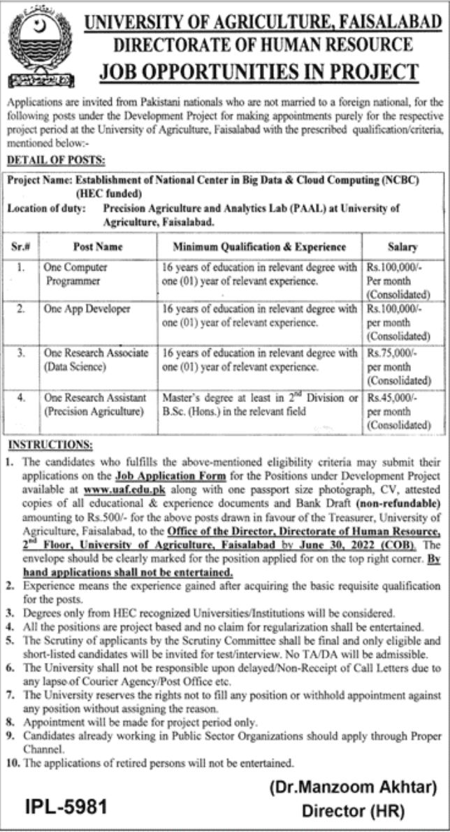 University of Agriculture Faisalabad Jobs June 2022