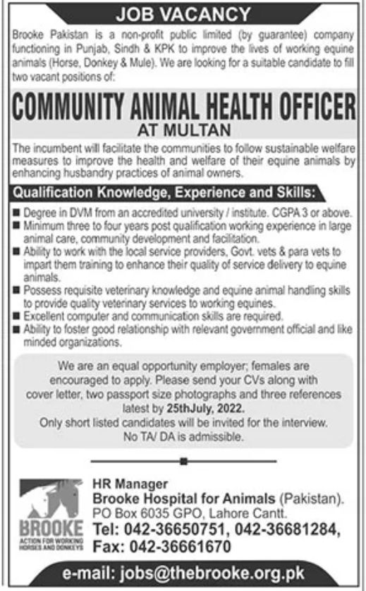 Brooke Pakistan Jobs July 2022