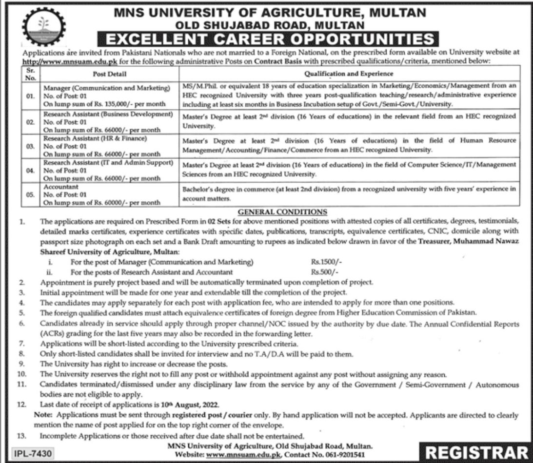 MNS University of Agriculture Multan Jobs July 2022