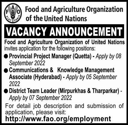 Food and Agriculture Organization of the United Nations Jobs August 2022
