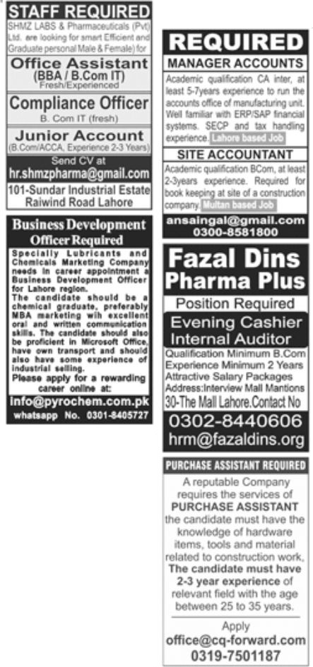 Jang Jobs Paperpk Jobs 28 August 2022