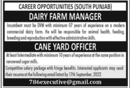 Private Sector South Punjab Jobs September 2022