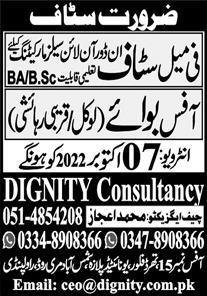 Dignity Consultancy Jobs October 2022