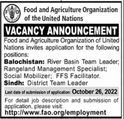 Food and Agriculture Organization Jobs October 2022