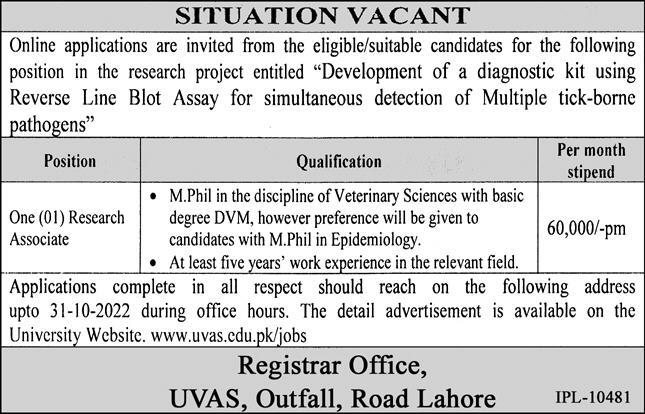 UVAS Jobs October 2022