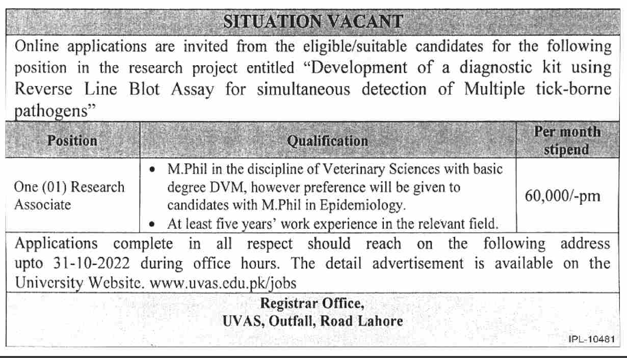 UVAS Lahore Jobs October 2022