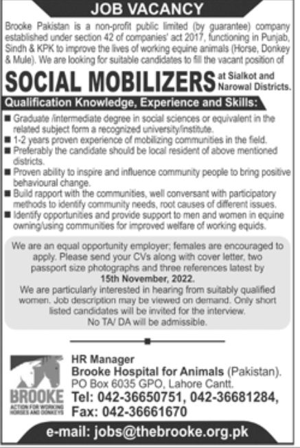Brooke Pakistan Jobs November 2022