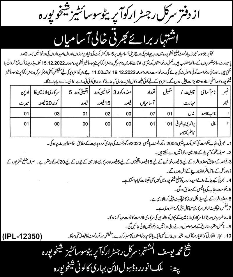 Cooperative Societies Department Sheikhupura Jobs November 2022