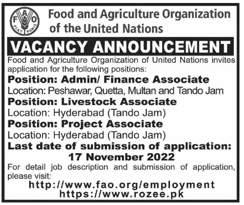 Food and Agriculture Organization of the United Nations Jobs November 2022
