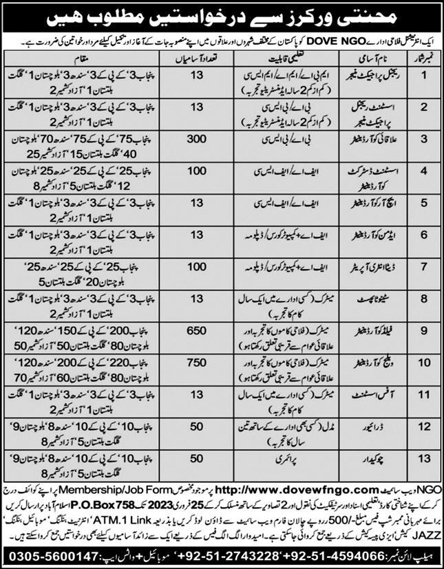 International NGOs Jobs January 2023