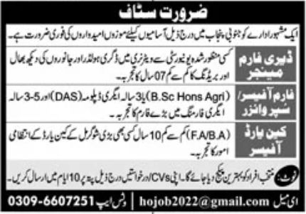 Reputed Sector Punjab Jobs September 2022